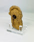 Close-up of ancient terracotta face with finely modeled eyes, nose, and lips.