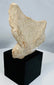 Pre-Columbian Gulf Coast Mexico terracotta artifact featuring large earspools and sculpted facial details.