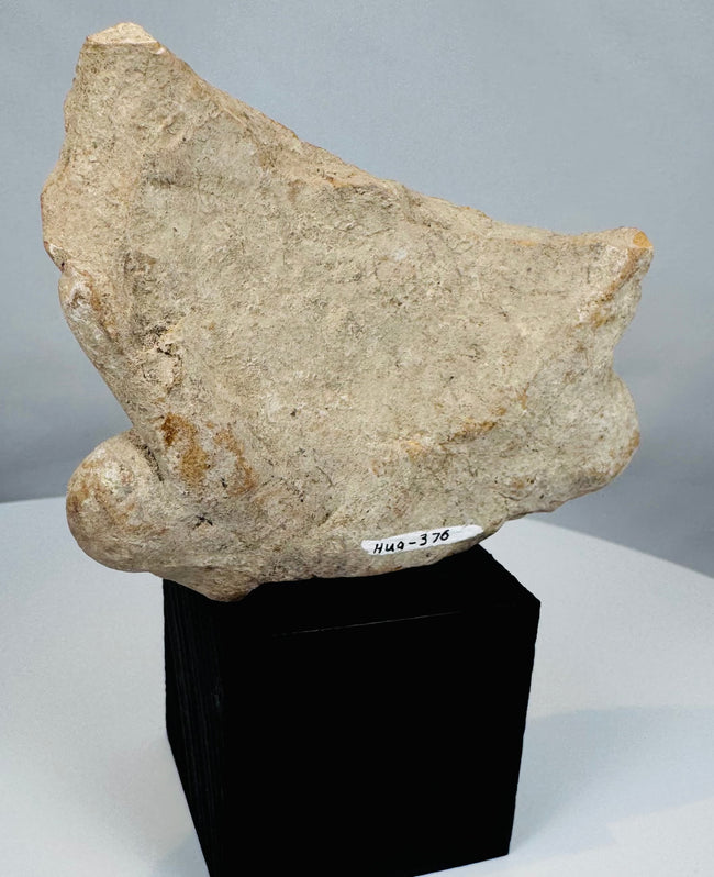 Pre-Columbian terracotta human effigy fragment with elaborate headdress, spiral earspools, and aged patina.