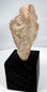 Ancient Mexican terracotta face with raised forehead band and archaeological surface deposits