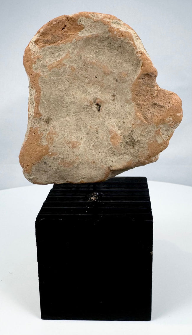 Terracotta head from Central or Western Mexico with reddish-orange pigment traces