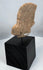 Ancient West Mexico terracotta portrait fragment representing ceremonial and funerary traditions.