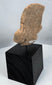 Ancient West Mexico terracotta portrait fragment representing ceremonial and funerary traditions.
