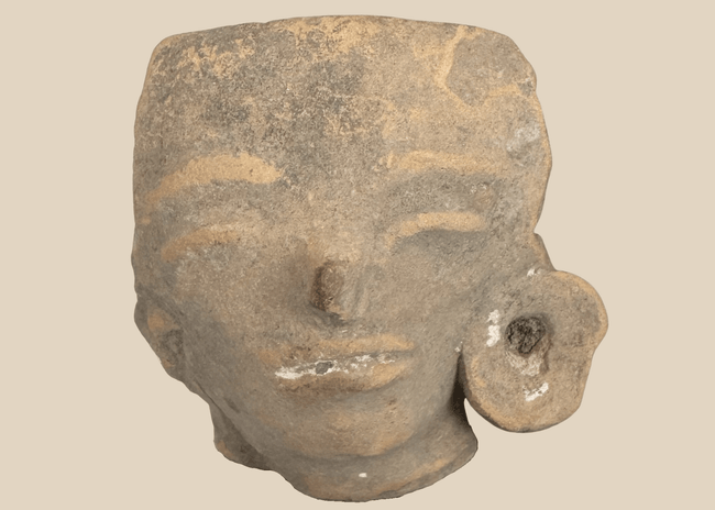 Pre-Columbian West Mexican terracotta head fragment with large ear spool mounted on a custom display stand.