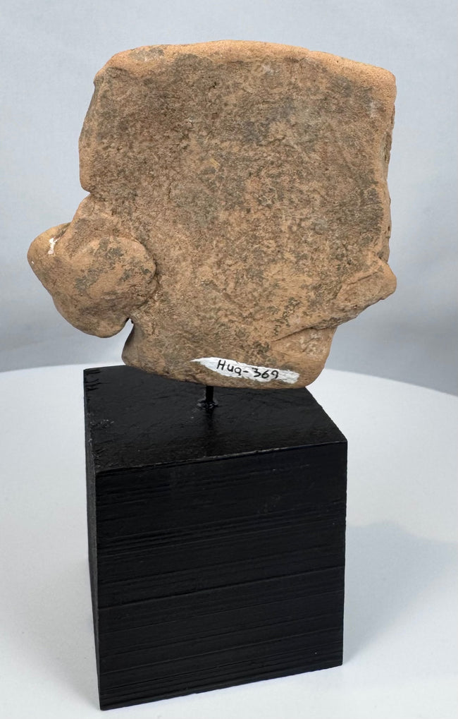Pre-Columbian terracotta figure head fragment showcasing traditional West Mexican artistry.
