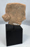 Pre-Columbian terracotta figure head fragment showcasing traditional West Mexican artistry.