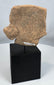 Pre-Columbian terracotta figure head fragment showcasing traditional West Mexican artistry.