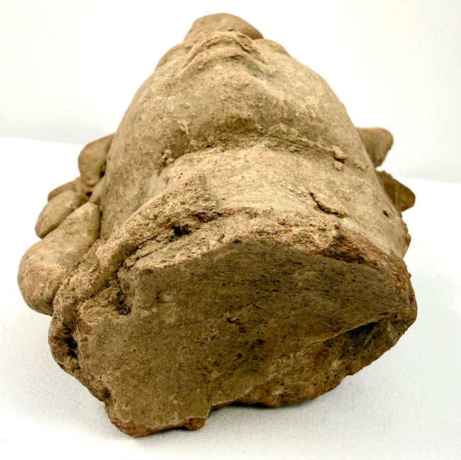 Bottom profile of Pre-Columbian terracotta head showing flat cut clay base