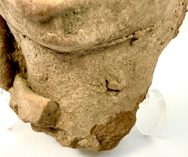 Macro detail of rough granular texture on Pre-Columbian terracotta head base