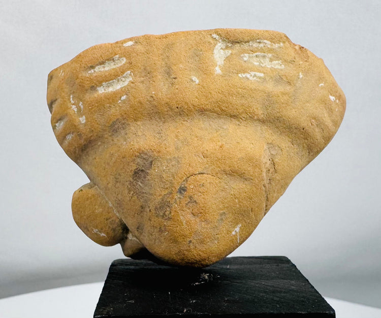 Ancient terracotta effigy head fragment displaying stylized facial features and traces of white pigment.