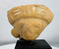 Ancient terracotta effigy head fragment displaying stylized facial features and traces of white pigment.