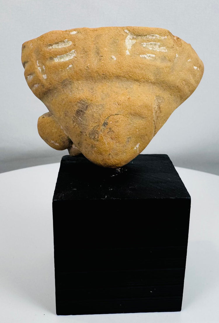 Terracotta human effigy head fragment mounted for display, retaining traces of original white pigment.