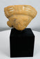 Terracotta human effigy head fragment mounted for display, retaining traces of original white pigment.
