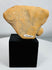Archaeological terracotta human figure fragment with weathered surface and burial patina.