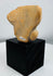 Pre-Columbian ceramic sculpture fragment showing stylized human features and aged mineral deposits.