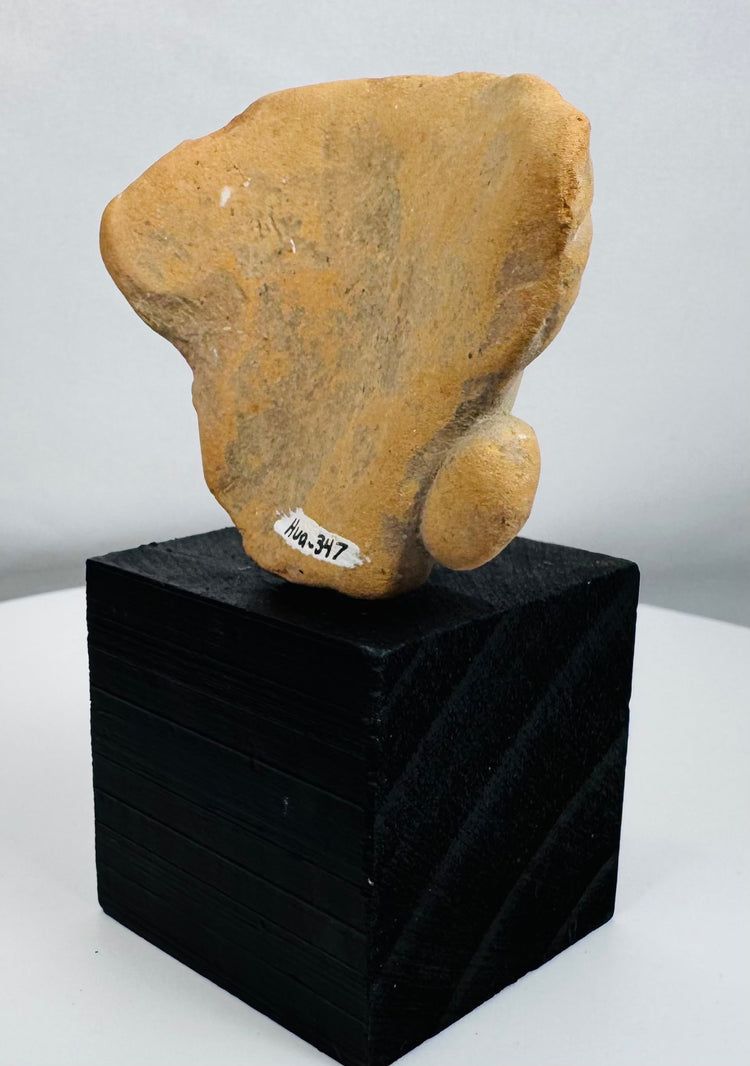 Pre-Columbian ceramic sculpture fragment showing stylized human features and aged mineral deposits.