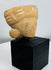 Pre-Columbian ceramic head fragment from Mexico to Colombia featuring prominent ear ornaments.