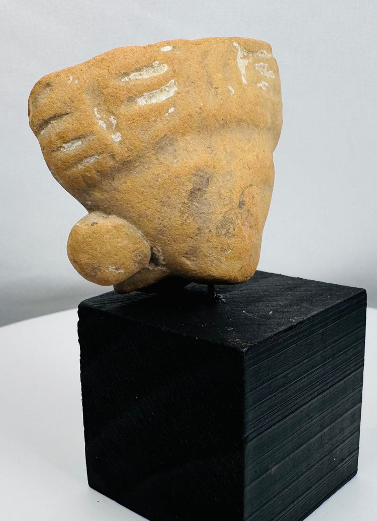Pre-Columbian ceramic head fragment from Mexico to Colombia featuring prominent ear ornaments.
