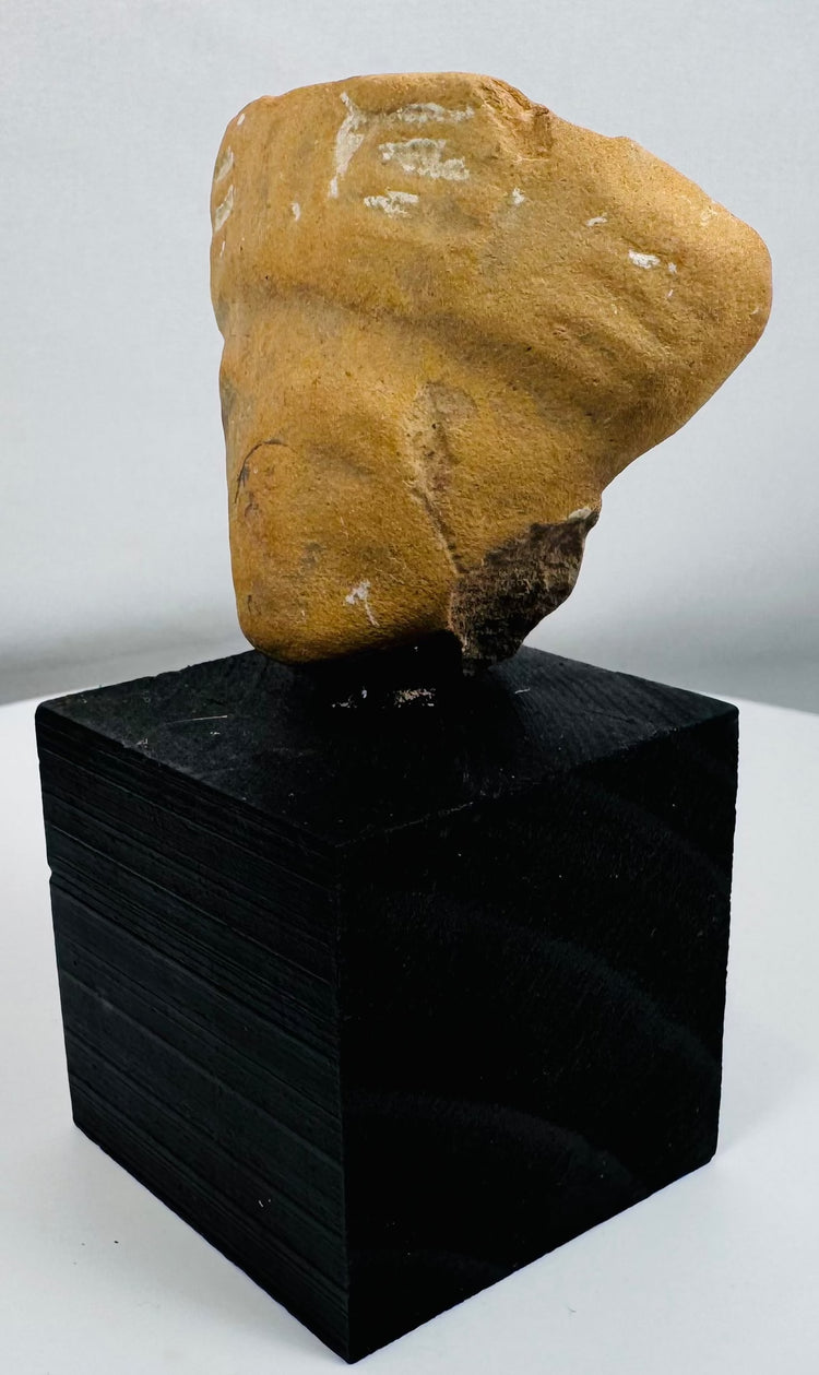 Ancient American terracotta head fragment with broad facial form and circular earspools.