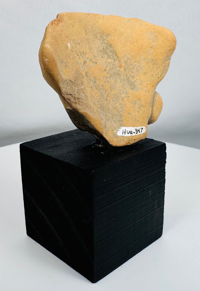 Ancient ceremonial terracotta figure fragment with earspools and collection number Hua-347 on reverse.