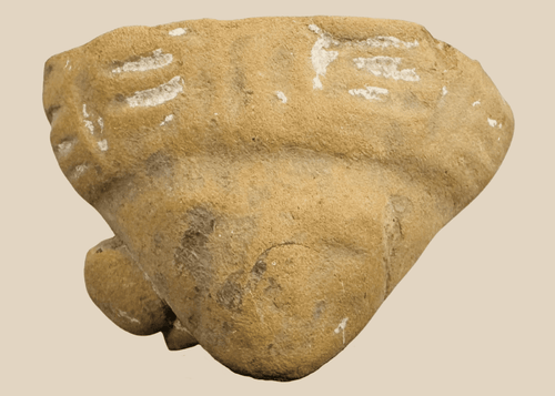 Pre-Columbian terracotta human head fragment with circular earspools mounted on a custom display stand.
