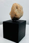Pre-Columbian ceramic effigy fragment with burial patina and mineral deposits consistent with age.