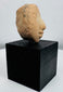 Ancient American terracotta head fragment preserving a serene expression and rounded facial form.