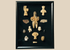 Framed collection of Pre-Columbian terracotta and stone artifacts displayed in a shadowbox.