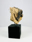 Ancient terracotta mask fragment featuring incised patterns and snout detail