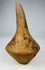 Archaeological Pre-Columbian ceramic rattles displaying centuries-old burial patina and age wear.