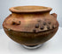 Pre-Columbian terracotta vessel from Central or South America, circa 800–1500 CE, with raised decorative clusters and reddish-brown patina.