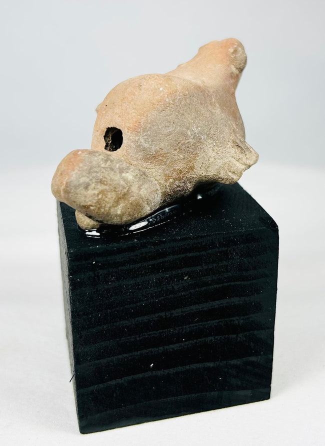 Hand-modeled ancient Mesoamerican terracotta animal figurine from the shaft tomb culture period, showing encrustations and age wear
