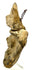 Side view of flat-backed Pre-Columbian ceramic with hanging wire loop attachment