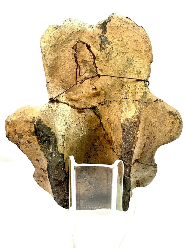 Rear view of fragmented antique pottery secured with rusted wire on acrylic stand