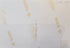 Back of archival photograph showing handwritten date September 1983.