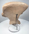 Veracruz smiling face terracotta sculpture with incised scroll decoration and geometric elements