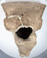 Classic Veracruz hollow terracotta head fragment associated with the Remojadas tradition