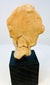 Rear view of ancient terracotta figure head showing original breakage and patina