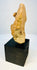 Oblique angled view of Pre-Columbian terracotta head highlighting sculptural form