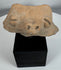 Weathered Pre-Columbian ceramic head fragment with relief-carved eyes and perforated nostrils.