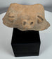 Weathered Pre-Columbian ceramic head fragment with relief-carved eyes and perforated nostrils.