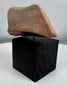 Ancient terracotta sculptural fragment representing a symbolic animal or spiritual being from the Pre-Columbian period.