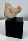 Authentic Pre-Columbian zoomorphic terracotta artifact mounted for display and preservation.