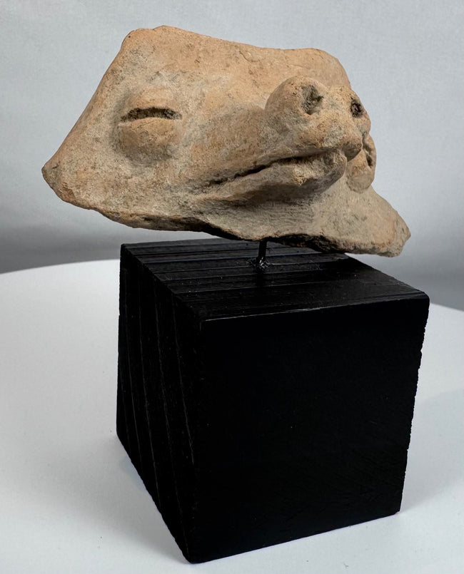 Pre-Columbian animal-form ceramic fragment displaying centuries of burial wear and archaeological character.