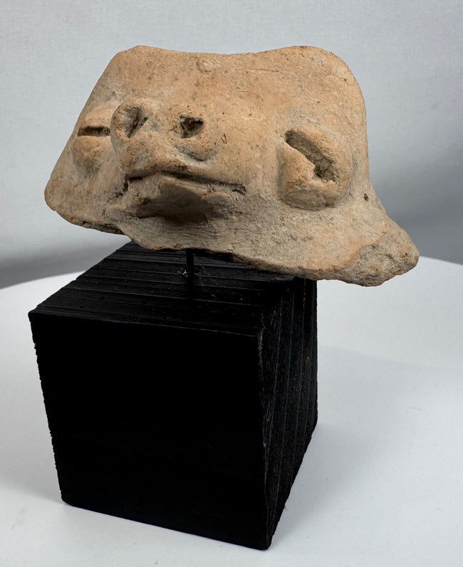 Pre-Columbian ceramic head fragment depicting a supernatural creature with perforated nostrils and weathered surface.