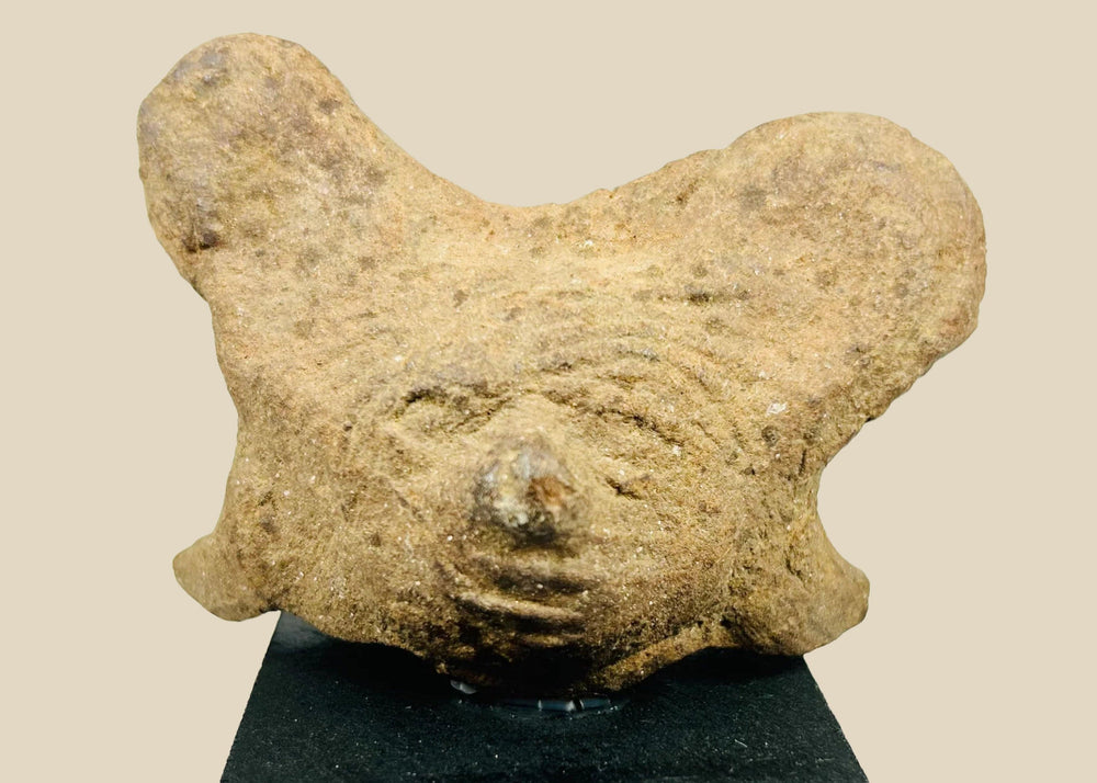 Ancient Pre-Columbian terracotta head fragment from West Mexico shaft-tomb culture, with stylized facial features and burial encrustations, mounted on a black display base, photographed on a white background