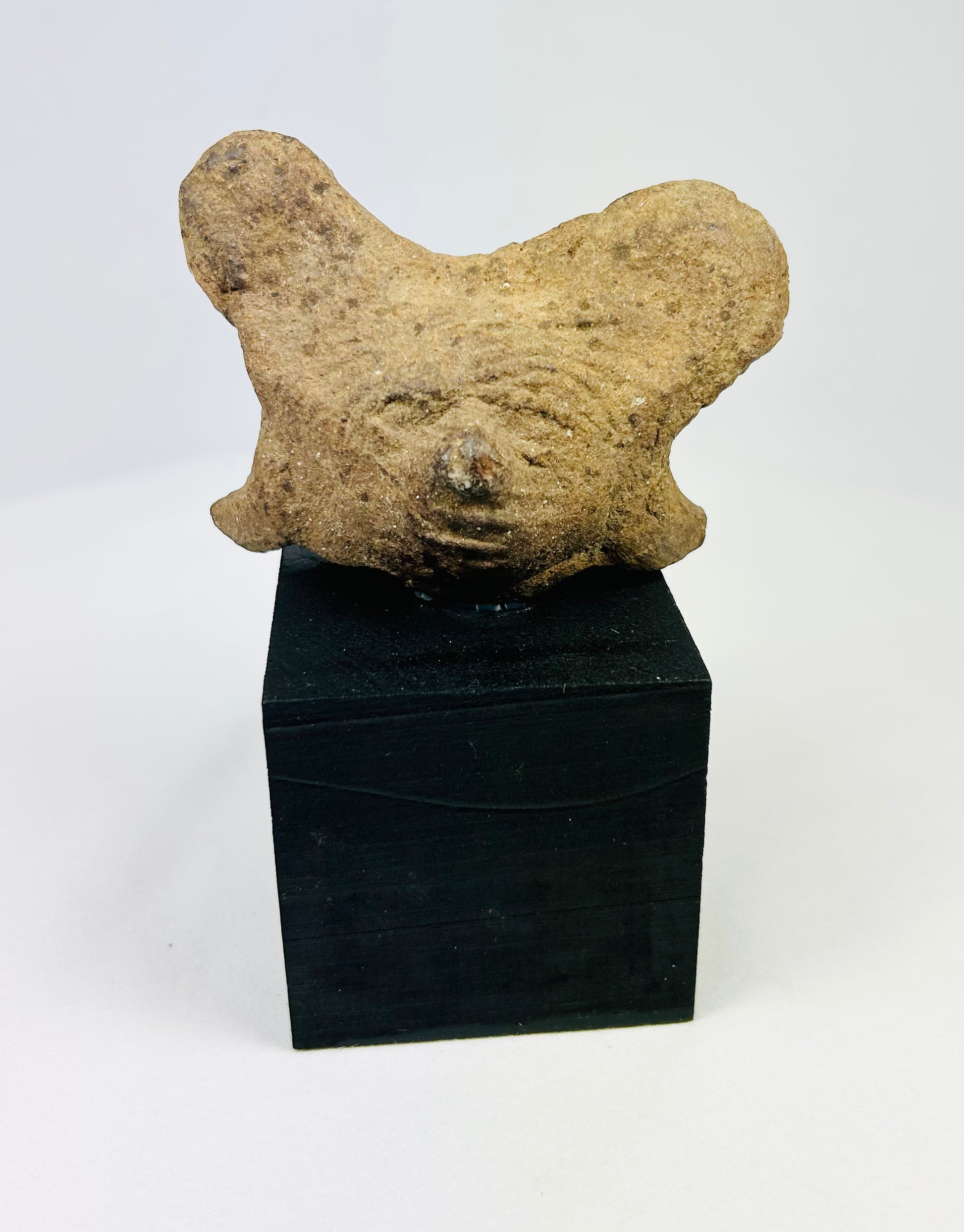 Ancient Pre-Columbian terracotta head fragment from West Mexico shaft-tomb culture, with stylized facial features and burial encrustations, mounted on a black display base, photographed on a white background