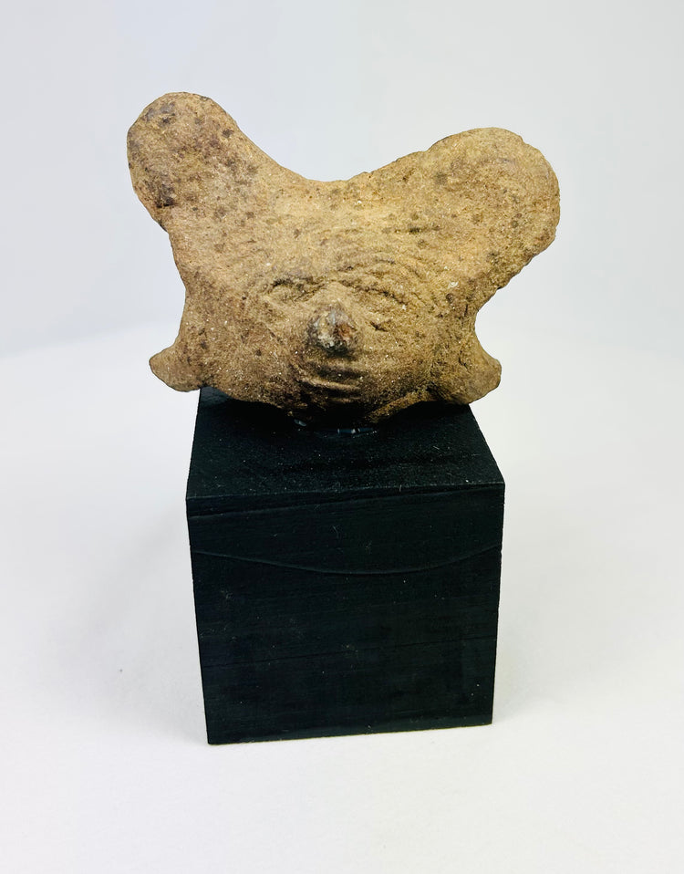 Ancient Pre-Columbian terracotta head fragment from West Mexico shaft-tomb culture, with stylized facial features and burial encrustations, mounted on a black display base, photographed on a white background