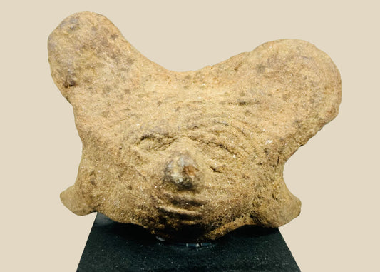 Ancient Pre-Columbian terracotta head fragment from West Mexico shaft-tomb culture, with stylized facial features and burial encrustations, mounted on a black display base, photographed on a white background