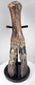 Ice Age bison foot from the North Sea Doggerland region with naturally mineralized bone surface